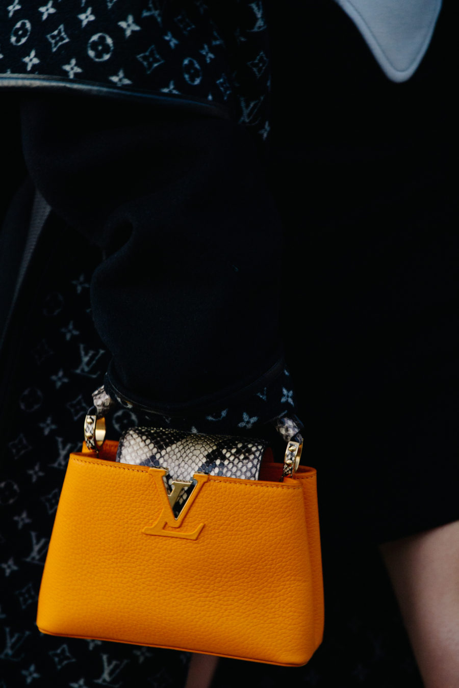 Woman carrying Louis Vuitton bag