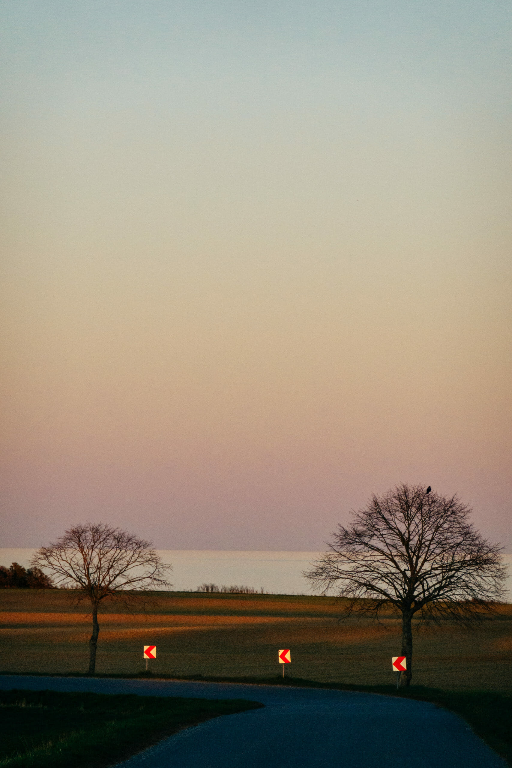 Bissinge | Denmark