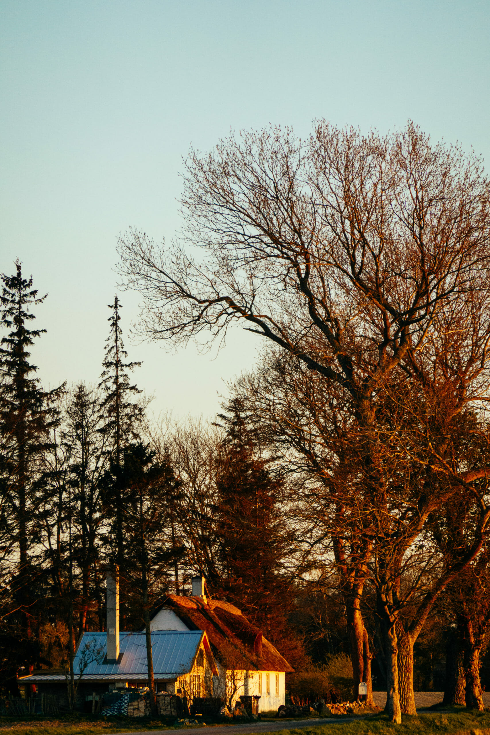 Neble | Denmark