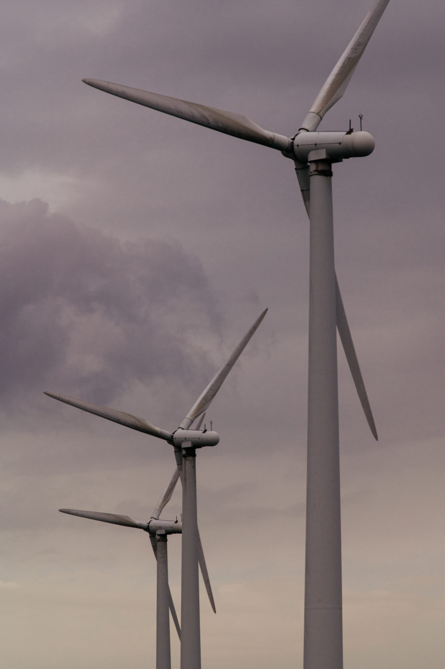 Øresund Wind Farm from Refshaleøen