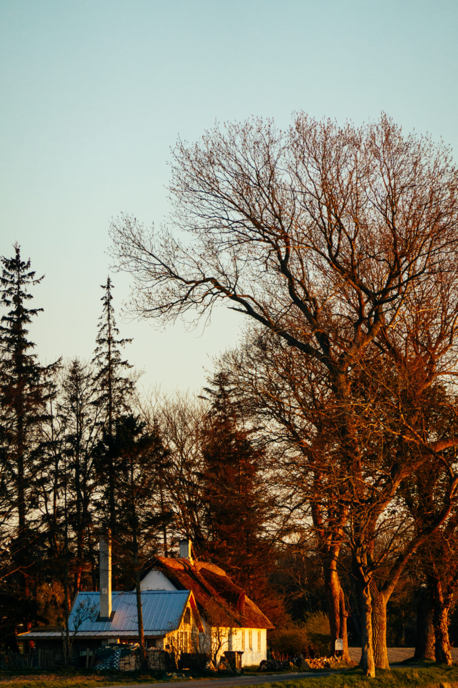 Neble | Denmark